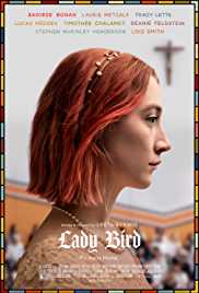 Lady Bird 2017 Dual Audio Hindi 480p 300MB FilmyMeet